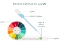 Une pipette dépose une goutte de solution sur du papier pH. La couleur de la goutte est comparée à un nuancier pour estimer le calcul du pH.