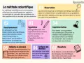 Infographie illustrant les 7 étapes de la méthode scientifique, un pilier de l'enseignement scientifique première.