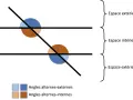 Deux droites parallèles coupées par une sécante. Des cercles colorés indiquent l'angle correspondant, les angles alternes-externes (bleu) et alternes-internes (brun).