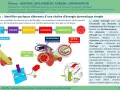 Schéma illustrant la chaîne d'énergie d'un objet technique : panneau solaire, accumulateur, moteur. La chaîne d'énergie techno montre comment l'énergie est alimentée, stockée, convertie et transmise.