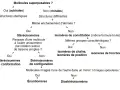 Diagramme de classification des isomères. Les molécules chirales peuvent être des énantiomères (images spéculaires non superposables) ou des diastéréoisomères.
