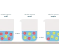 Trois béchers illustrent l'ionisation de l'eau : acide (excès H+), neutre (H+ et HO- équilibrés), basique (excès HO-).