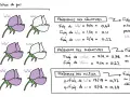 Population de pois illustrant la formule fréquence des génotypes, phénotypes et allèles.