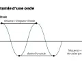 Graphique illustrant c'est quoi une onde : amplitude, longueur d'onde, durée d'un cycle et fréquence.