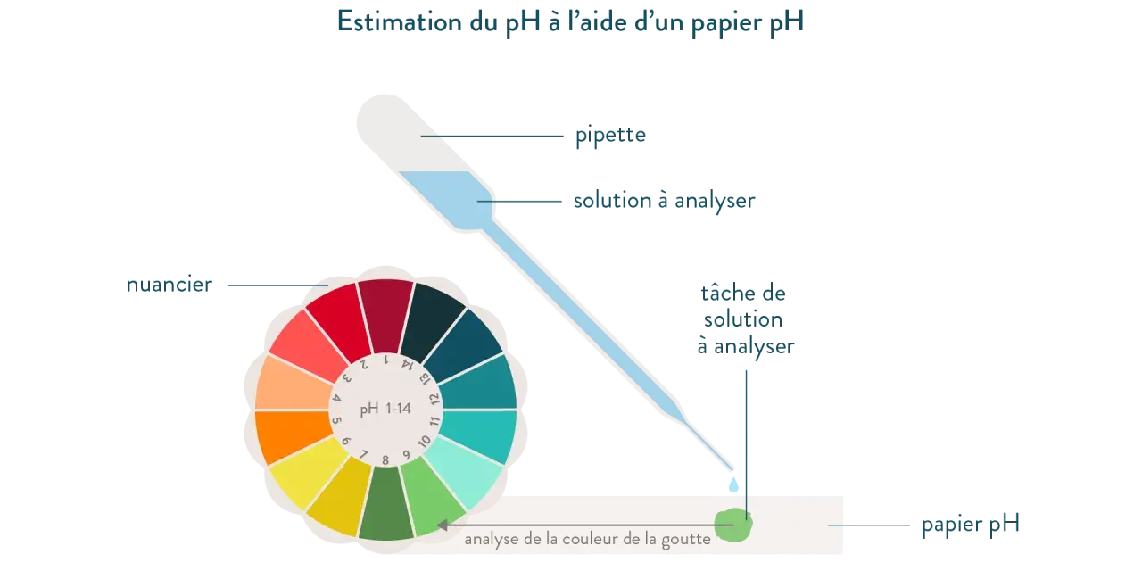 Une pipette dépose une goutte de solution sur du papier pH. La couleur de la goutte est comparée à un nuancier pour estimer le calcul du pH.