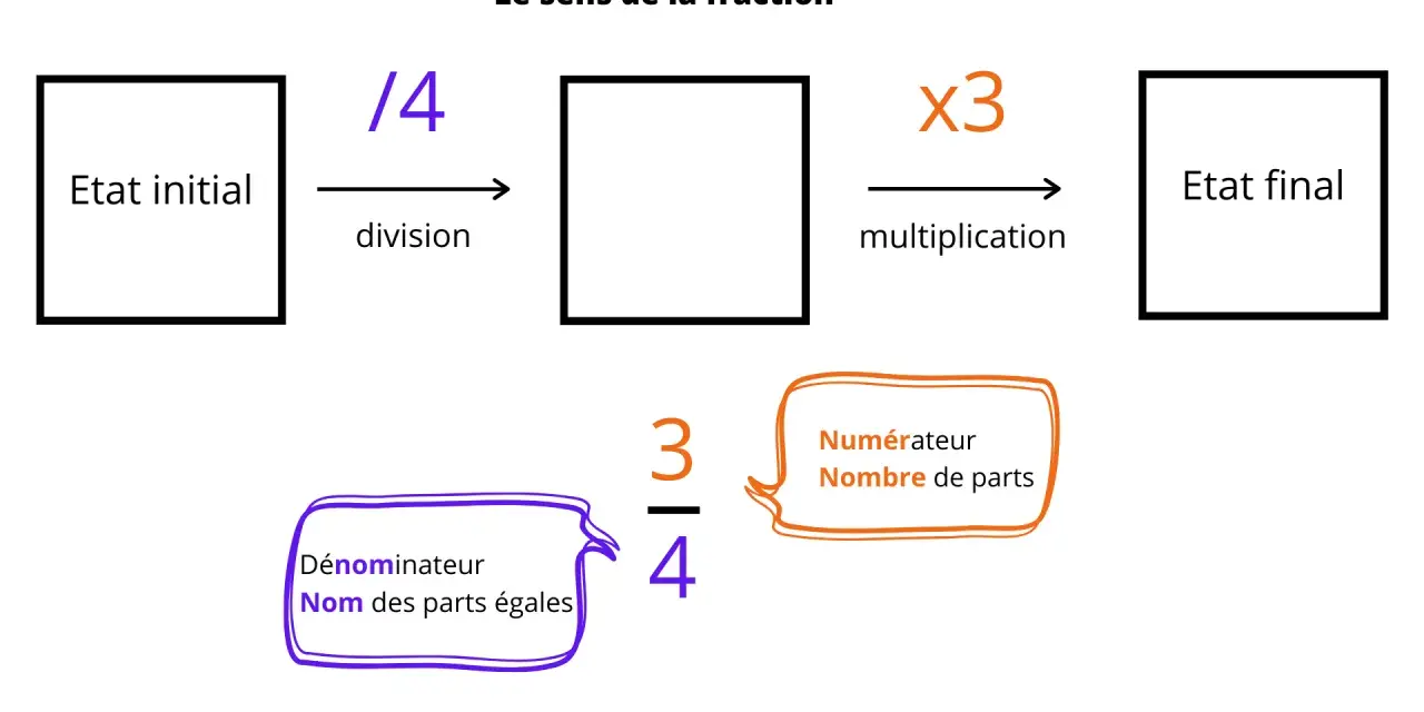 Illustration expliquant les fractions au primaire : division par 4, multiplication par 3, numérateur et dénominateur.