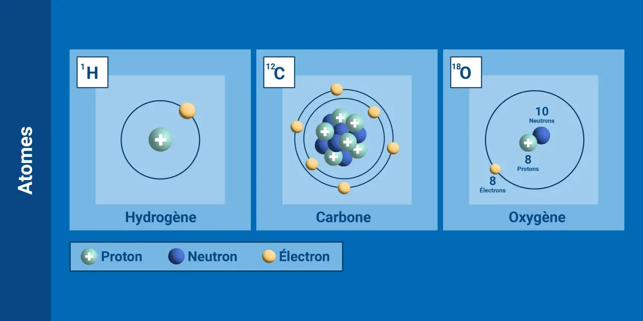 Illustrations d'atomes d'hydrogène, carbone et oxygène, montrant la variation du nombre de neutrons, une illustration de la définition d'isotope.