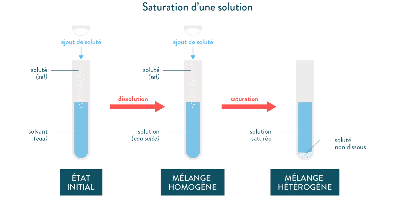Illustration de la solubilité du sel dans l'eau : ajout de sel à l'eau, dissolution puis saturation avec sel non dissous.