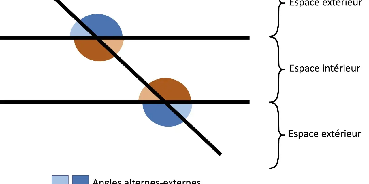 Deux droites parallèles coupées par une sécante. Des cercles colorés indiquent l'angle correspondant, les angles alternes-externes (bleu) et alternes-internes (brun).