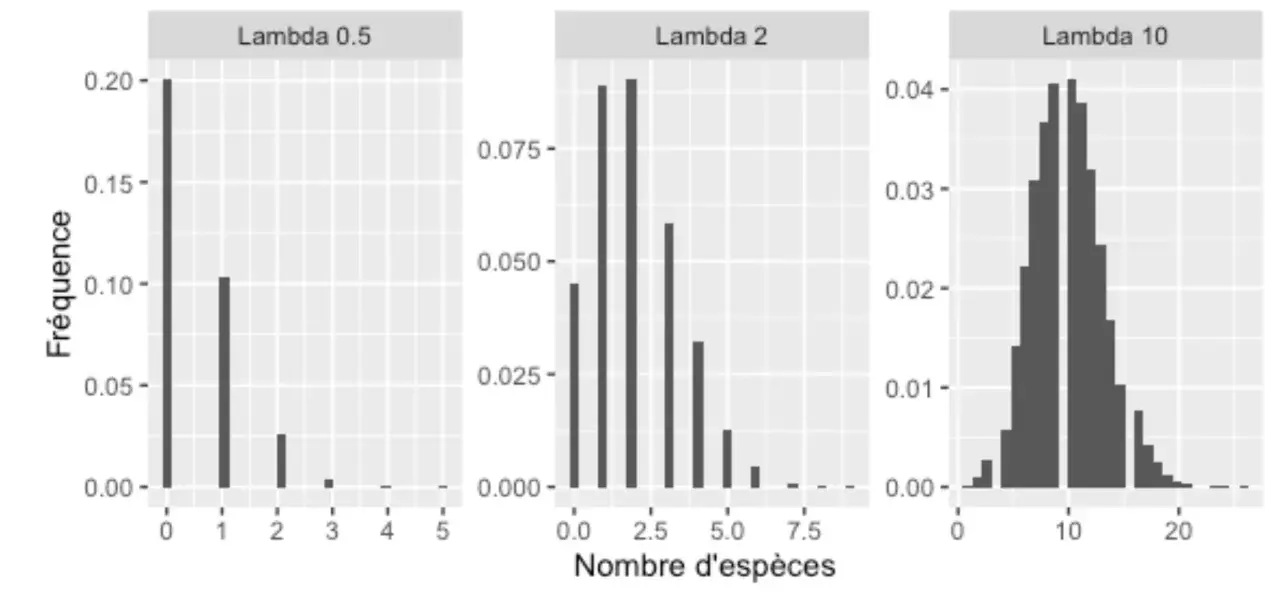 Trois histogrammes illustrant la loi de Poisson avec différents paramètres lambda. La formule de la loi de Poisson est représentée par la forme des distributions.