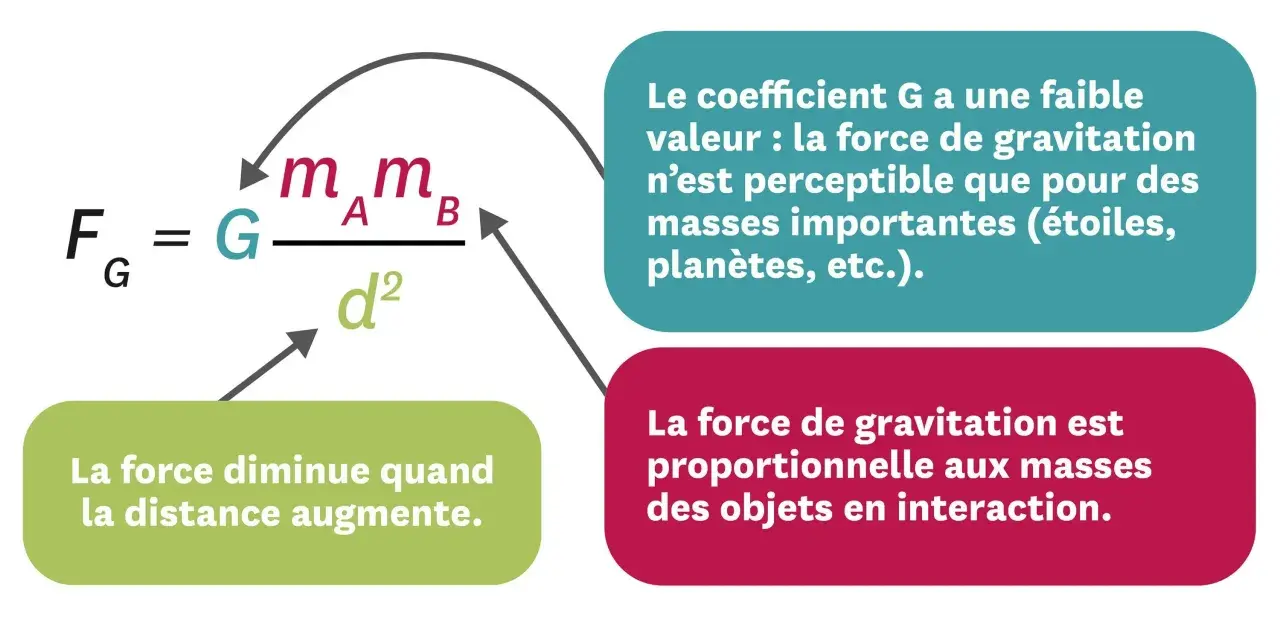 La formule de la force gravitationnelle Fg = G * (mA * mB) / d² explique comment la force de gravitation dépend des masses et de la distance.