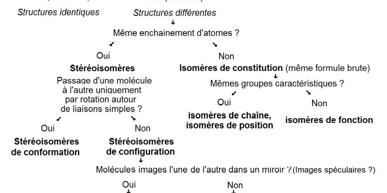 Diagramme de classification des isomères. Les molécules chirales peuvent être des énantiomères (images spéculaires non superposables) ou des diastéréoisomères.