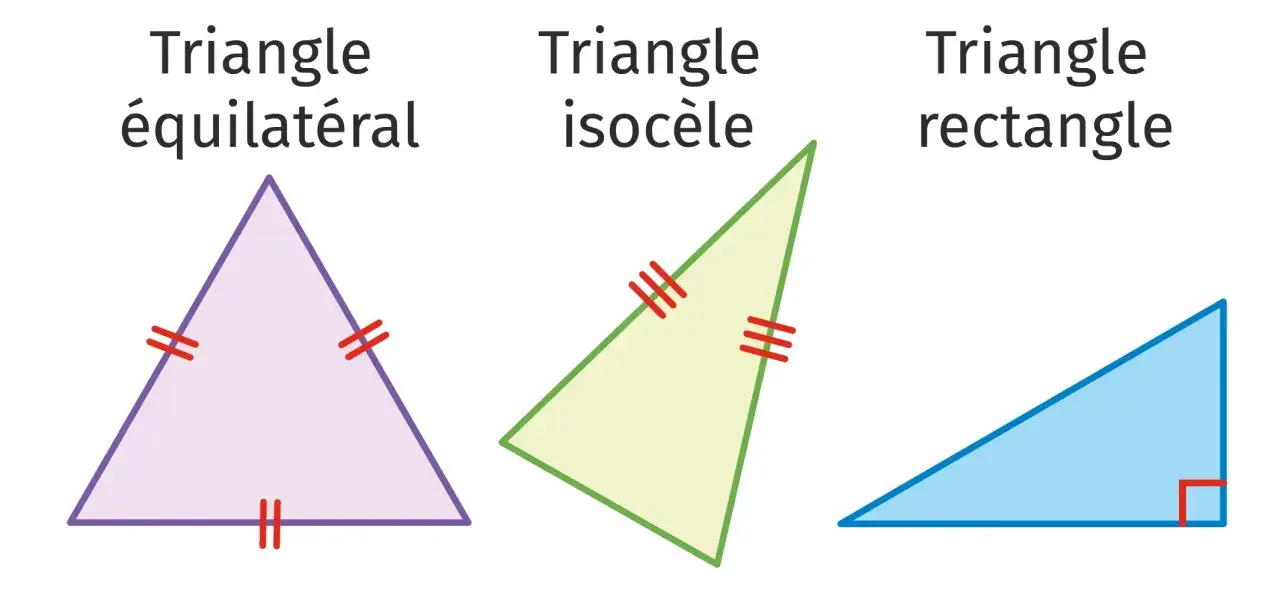 Trois triangles : équilatéral (trois côtés égaux), isocèle (deux côtés égaux) et rectangle.