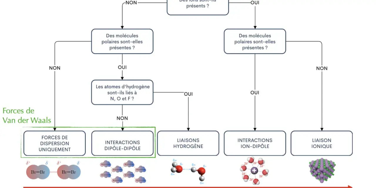 Diagramme de classification des forces intermoléculaires, incluant les interactions dipôle-dipôle pour une molécule polaire.