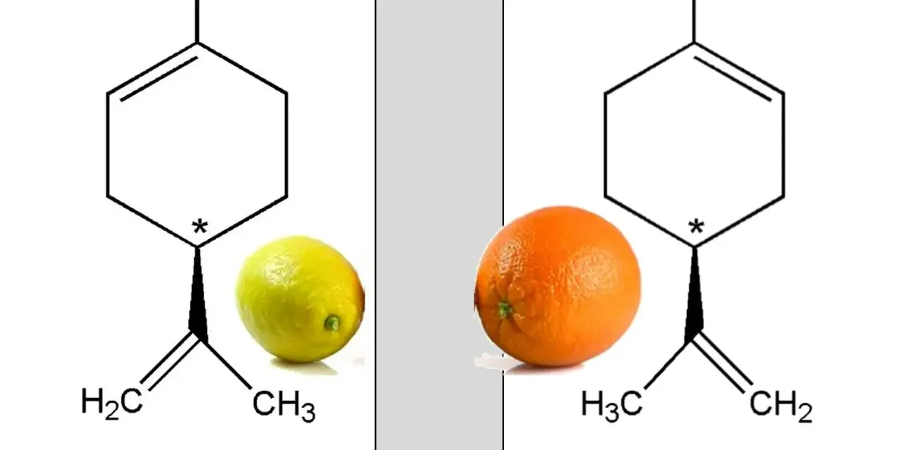 Représentation de la chiralité : le limonène S, associé à un citron, et le limonène R, associé à une orange, sont des images miroir l'un de l'autre.