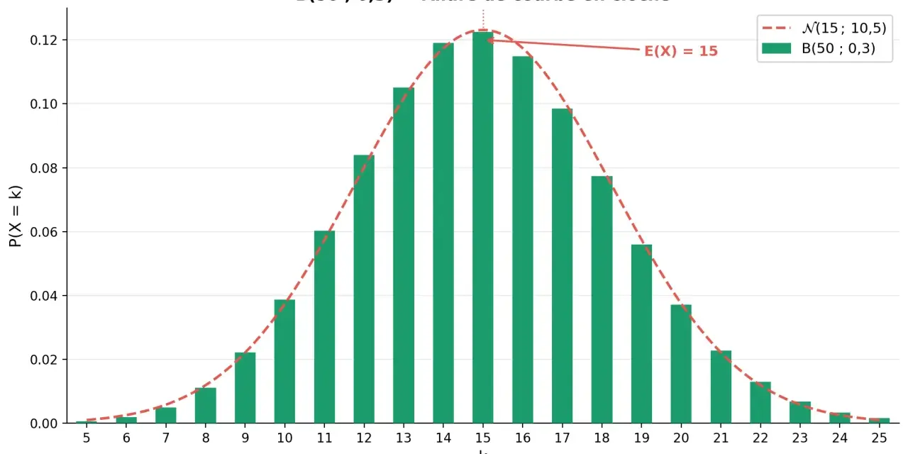 Graphique de la loi binomiale B(50; 0,3) avec une allure de courbe en cloche. L'espérance E(X) est de 15.
