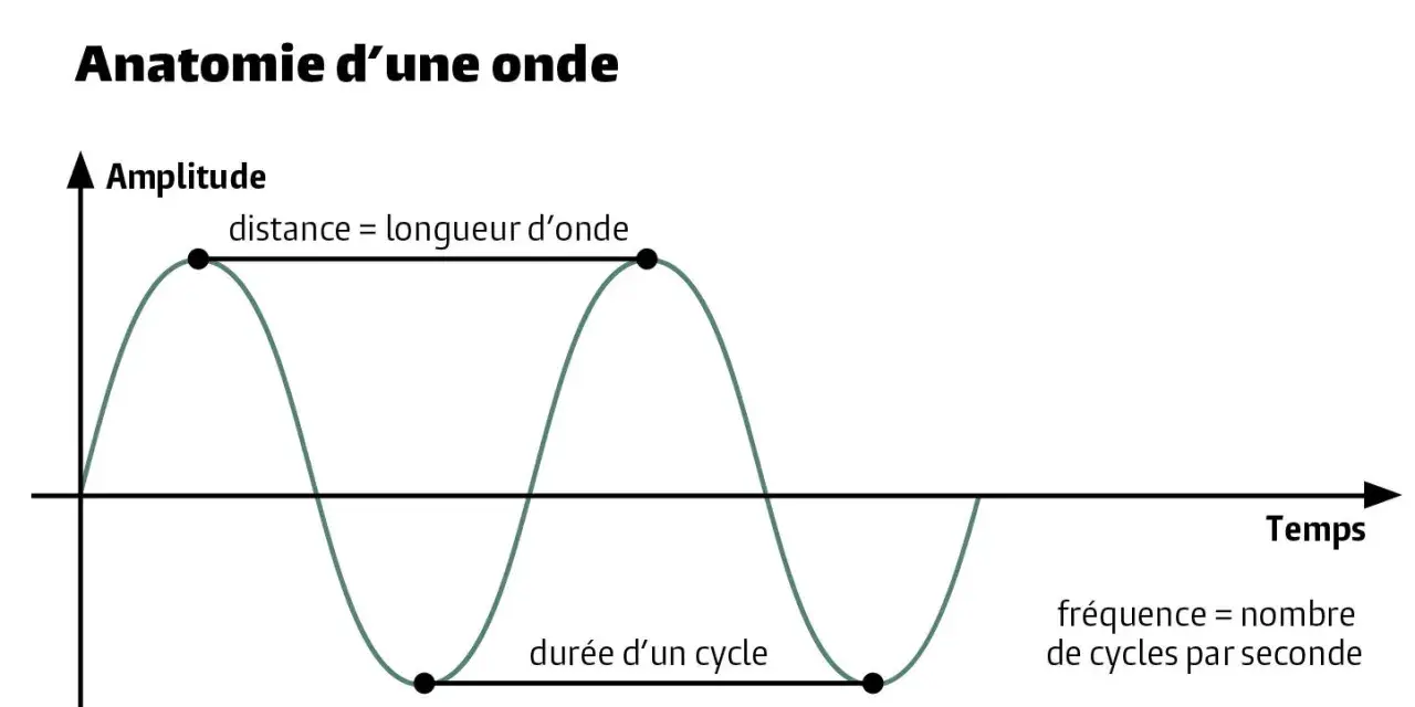 Graphique illustrant c'est quoi une onde : amplitude, longueur d'onde, durée d'un cycle et fréquence.
