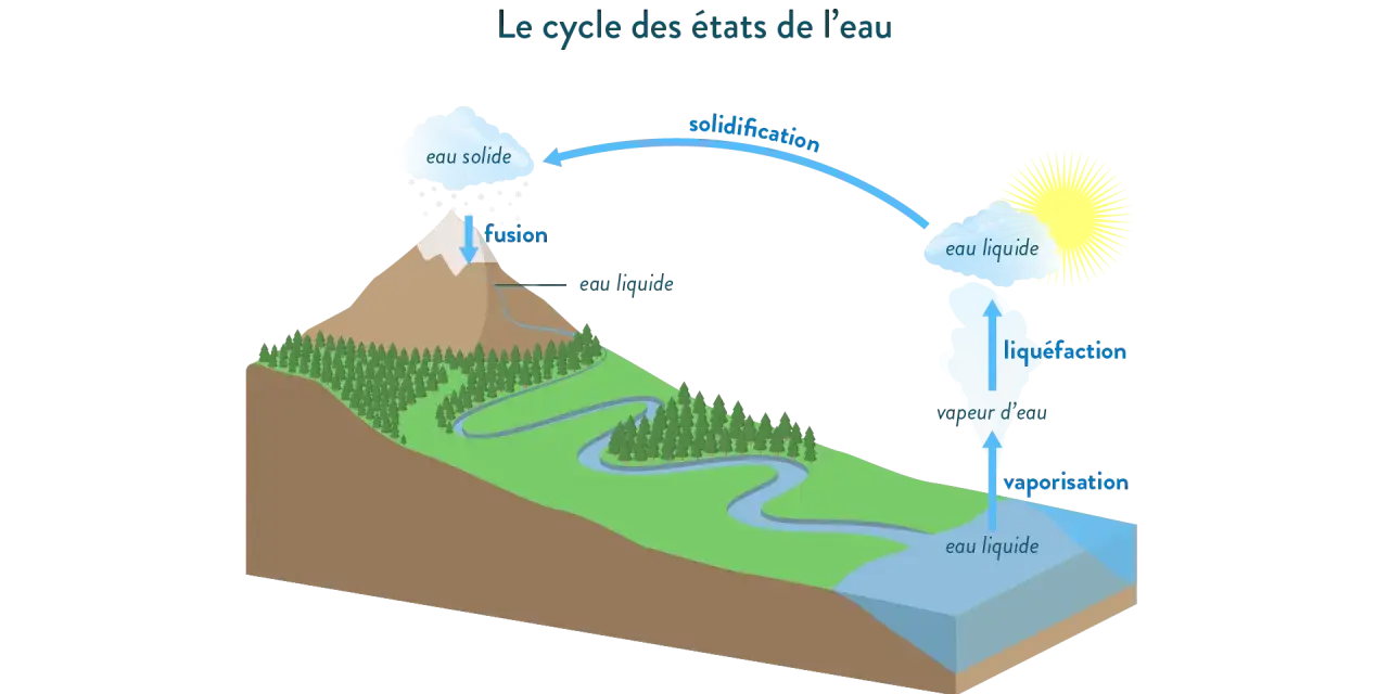Le cycle de l'eau montre la transformation de l'eau entre ses états solide, liquide et gazeux. La fusion et la solidification illustrent le changement d'état de l'eau.