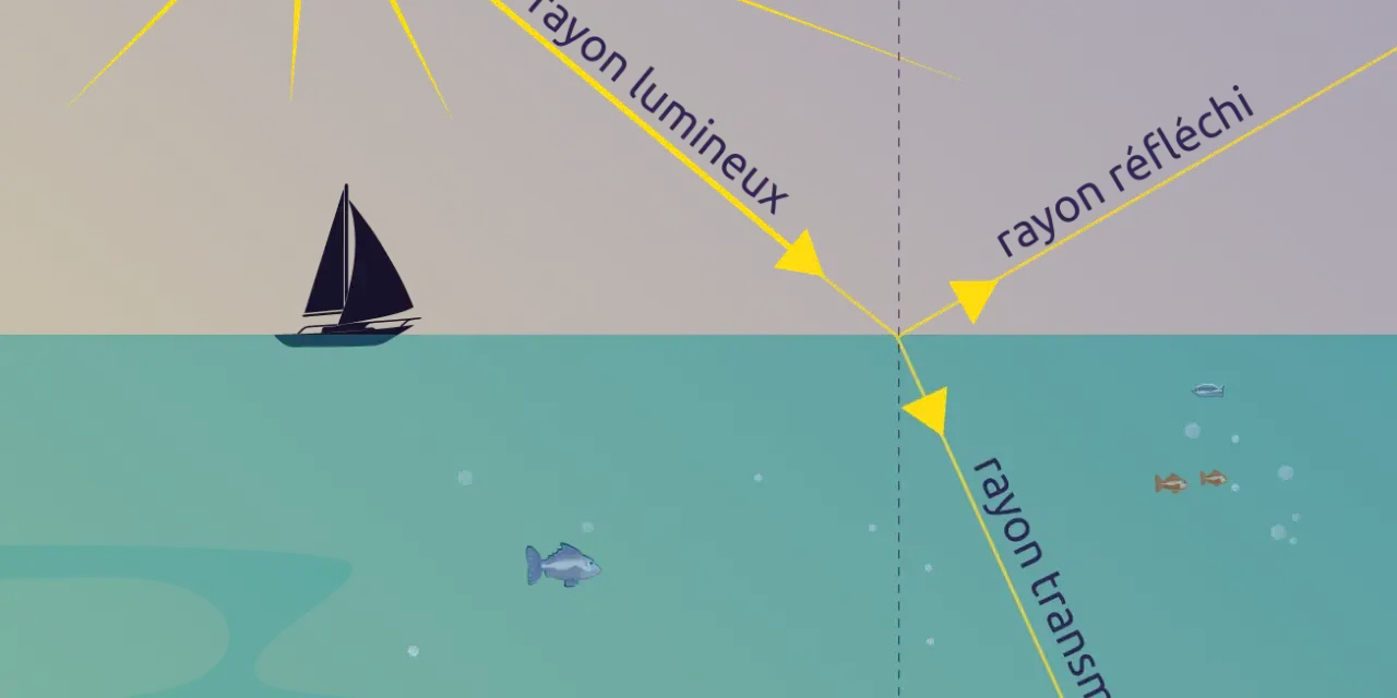 Le soleil projette un rayon lumineux sur l'eau. Une partie est réfléchie, l'autre est transmise, éclairant des poissons.