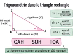 Triangle rectangle illustrant le cosinus d'un angle α comme le rapport du côté adjacent à l'hypoténuse.