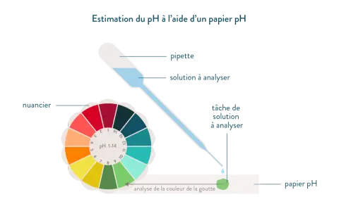 Une pipette dépose une goutte de solution sur du papier pH. La couleur de la goutte est comparée à un nuancier pour estimer le calcul du pH.