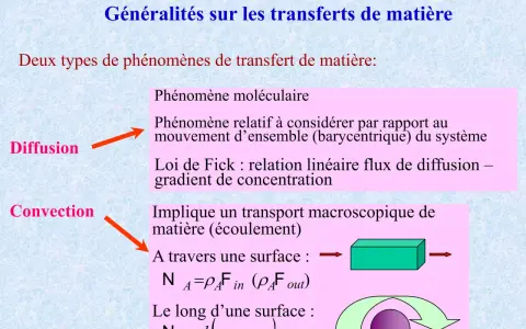 La diffusion est liée à un gradient de concentration, expliquant le flux de matière. La convection implique un transport macroscopique.