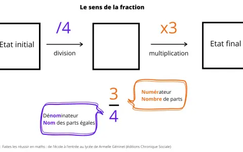 Illustration expliquant les fractions au primaire : division par 4, multiplication par 3, numérateur et dénominateur.