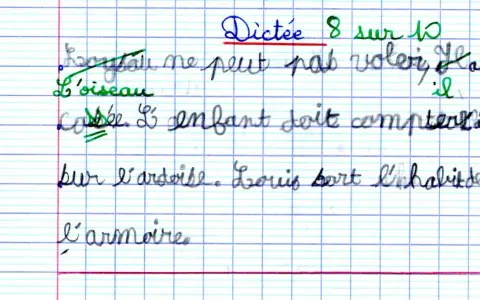Dictée 8/10. L'oiseau ne peut pas voler. L'enfant doit compter. Louis sort l'habit de l'armoire. Révision CE1.