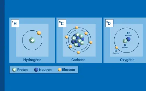 Illustrations d'atomes d'hydrogène, carbone et oxygène, montrant la variation du nombre de neutrons, une illustration de la définition d'isotope.