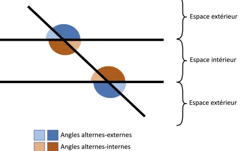 Deux droites parallèles coupées par une sécante. Des cercles colorés indiquent l'angle correspondant, les angles alternes-externes (bleu) et alternes-internes (brun).