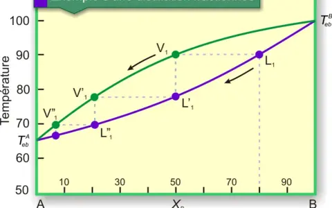 Diagramme de température vs composition illustrant la distillation fractionnée. Les courbes représentent les équilibres liquide-vapeur.