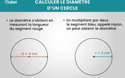 Deux cercles illustrent comment calculer la circonférence en diamètre. Un segment rouge de 4 cm représente le diamètre, tandis qu'un segment bleu de 2 cm est le rayon.