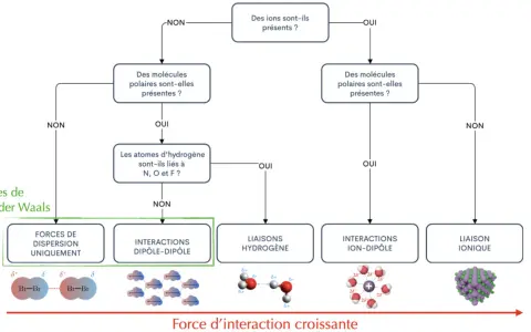 Diagramme de classification des forces intermoléculaires, incluant les interactions dipôle-dipôle pour une molécule polaire.
