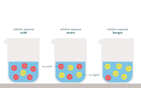 Trois béchers illustrent l'ionisation de l'eau : acide (excès H+), neutre (H+ et HO- équilibrés), basique (excès HO-).