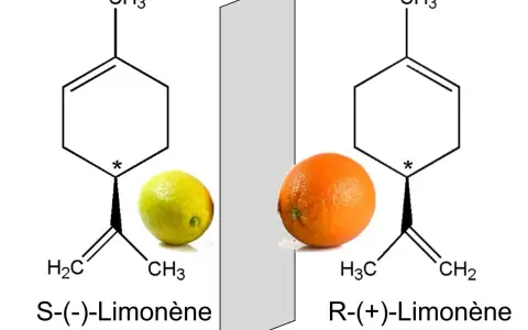 Représentation de la chiralité : le limonène S, associé à un citron, et le limonène R, associé à une orange, sont des images miroir l'un de l'autre.