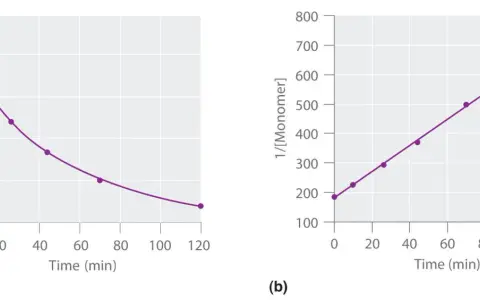 Graphique (a) montrant la diminution de la concentration de monomère au fil du temps, et graphique (b) montrant une relation linéaire pour la loi de vitesse d'ordre 1.