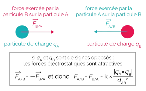 Deux particules chargées, A et B, interagissent par force électrostatique. Si leurs charges sont opposées, la force est attractive.