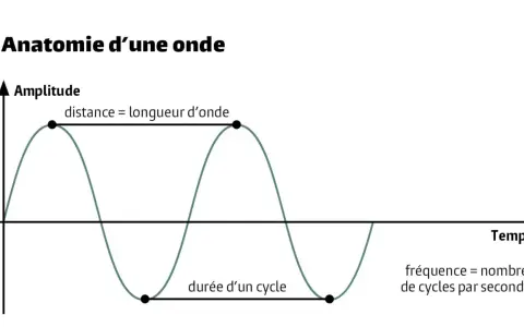 Graphique illustrant c'est quoi une onde : amplitude, longueur d'onde, durée d'un cycle et fréquence.