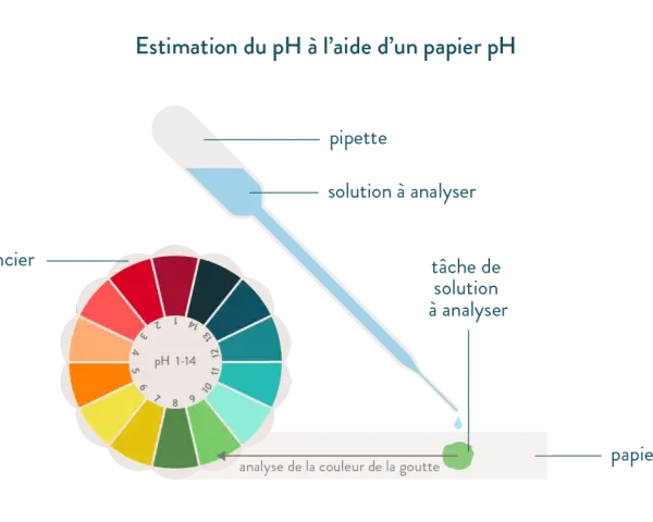 Une pipette dépose une goutte de solution sur du papier pH. La couleur de la goutte est comparée à un nuancier pour estimer le calcul du pH.