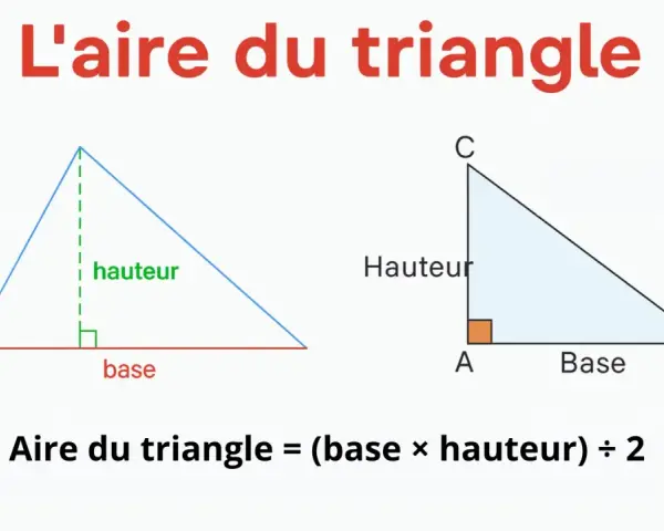Deux triangles illustrent le calcul de la surface d'un triangle : base et hauteur sont indiquées. La formule est : (base × hauteur) ÷ 2.