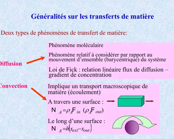 La diffusion est liée à un gradient de concentration, expliquant le flux de matière. La convection implique un transport macroscopique.