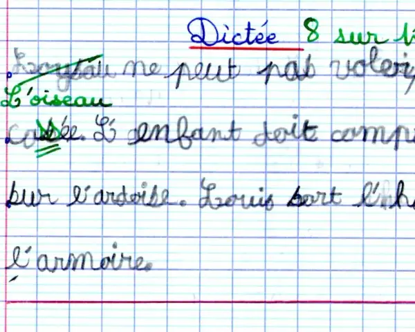 Dictée 8/10. L'oiseau ne peut pas voler. L'enfant doit compter. Louis sort l'habit de l'armoire. Révision CE1.