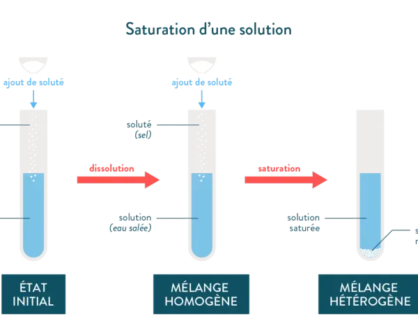 Illustration de la solubilité du sel dans l'eau : ajout de sel à l'eau, dissolution puis saturation avec sel non dissous.