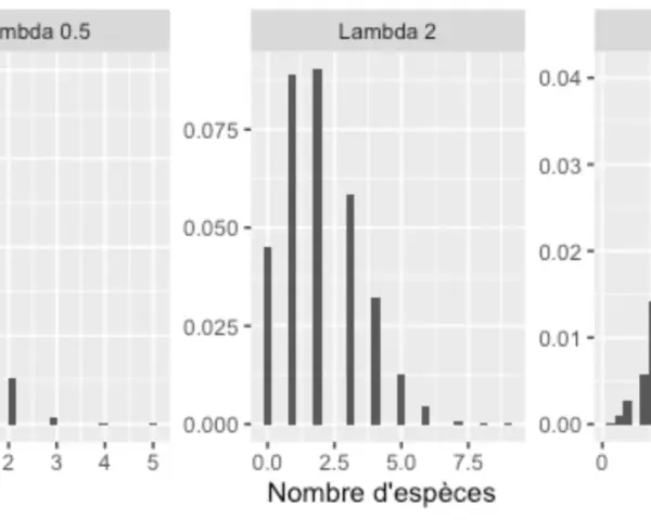 Trois histogrammes illustrant la loi de Poisson avec différents paramètres lambda. La formule de la loi de Poisson est représentée par la forme des distributions.