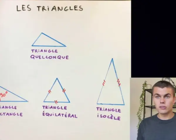 Les triangles : un triangle quelconque, un triangle rectangle, un triangle équilatéral et un triangle isocèle.