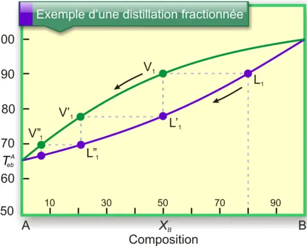 Diagramme de température vs composition illustrant la distillation fractionnée. Les courbes représentent les équilibres liquide-vapeur.