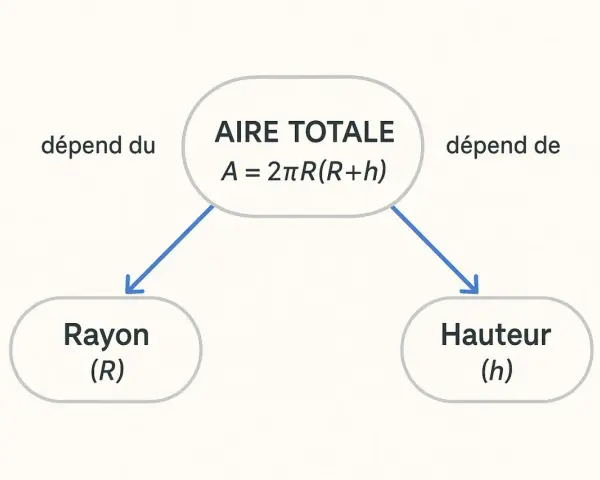 Diagramme montrant que l'aire totale d'un **surface cylindre** dépend du rayon (R) et de la hauteur (h), selon la formule A = 2πR(R+h).