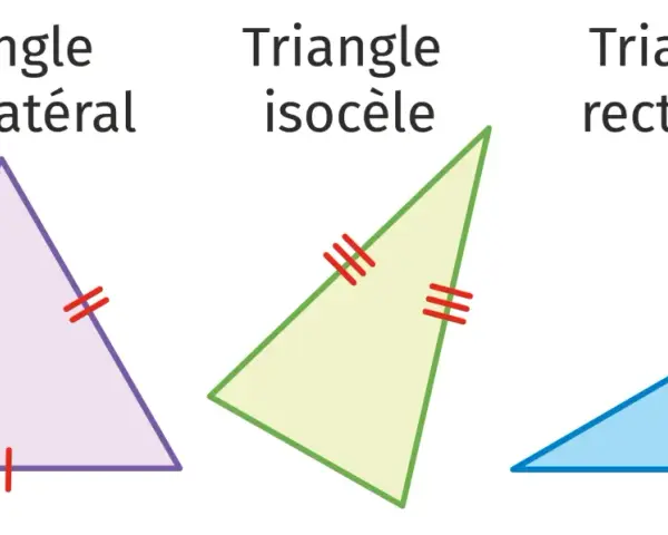 Trois triangles : équilatéral (trois côtés égaux), isocèle (deux côtés égaux) et rectangle.