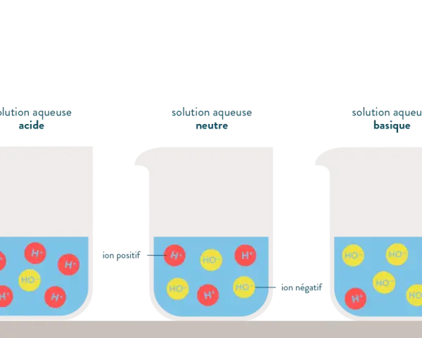 Trois béchers illustrent l'ionisation de l'eau : acide (excès H+), neutre (H+ et HO- équilibrés), basique (excès HO-).