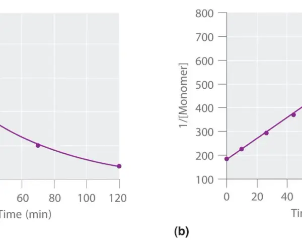 Graphique (a) montrant la diminution de la concentration de monomère au fil du temps, et graphique (b) montrant une relation linéaire pour la loi de vitesse d'ordre 1.